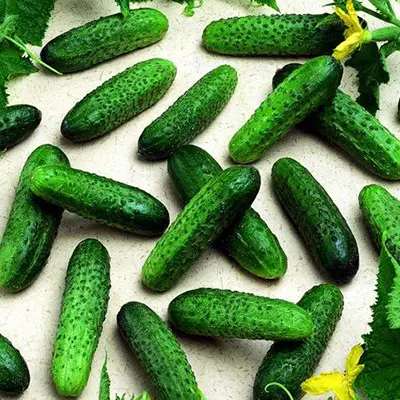 "Мирабелл" (100 семян) от Seminis, Голландия