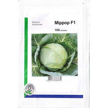 "Мирор" F1 (100 семян) от Syngenta, Голландия