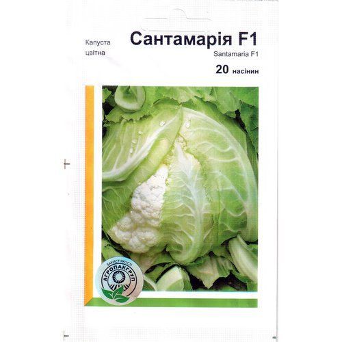 "Сантамарія" F1 (20 насінин) від Rijk Zwaan, Голландія