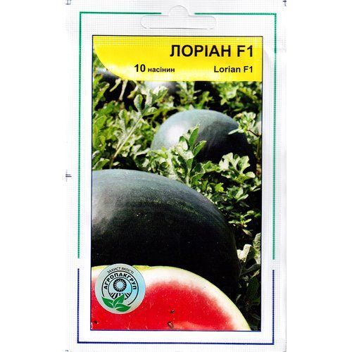 "Лориан" F1 (10 семян) от Syngenta, Голландия