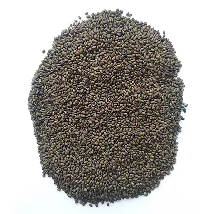 "Надежда" Семена люцерны, обработанные (1 кг)