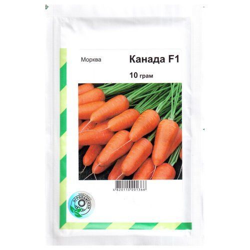 &laquo;Канада&raquo; F1 (10 г) от Bejo Zaden, Голландия