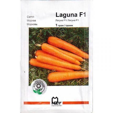 "Лагуна" F1 (1 г) от Nunhems, Голландия