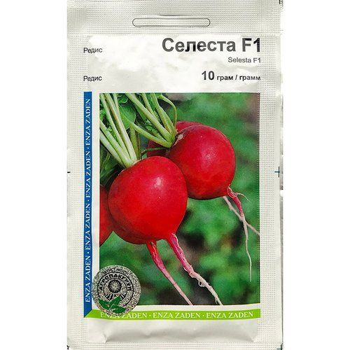 "Селеста" F1 (10 г) від Enza Zaden, Голландія